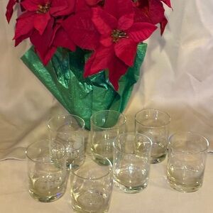 Set of Clear Glass Tumblers